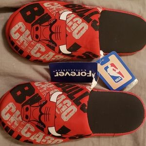 Bulls slippers